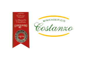 logo costanzo eccellenza